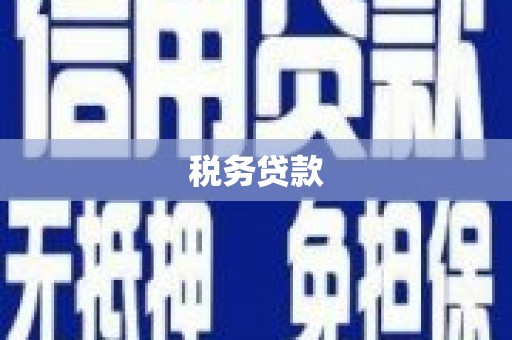 林甸税务贷款