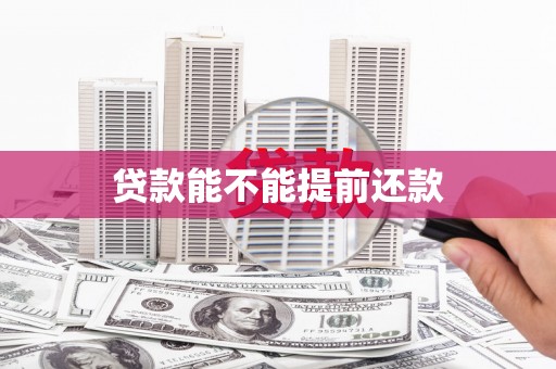林甸贷款能不能提前还款