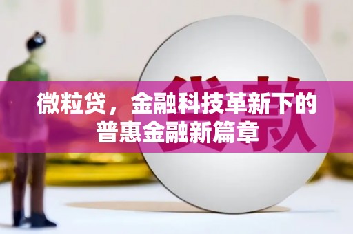 林甸微粒贷，金融科技革新下的普惠金融新篇章