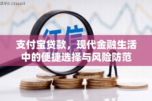 林甸支付宝贷款，现代金融生活中的便捷选择与风险防范