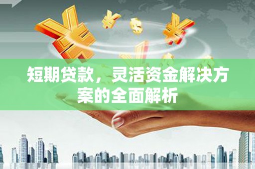 林甸短期贷款，灵活资金解决方案的全面解析