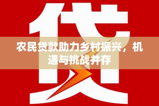 林甸农民贷款助力乡村振兴，机遇与挑战并存