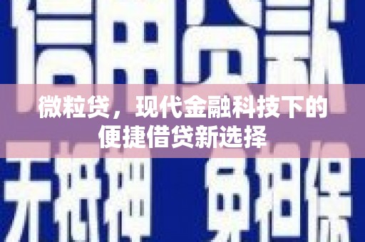 林甸微粒贷，现代金融科技下的便捷借贷新选择