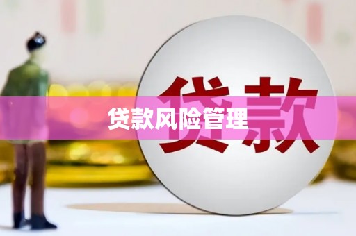 林甸贷款风险管理