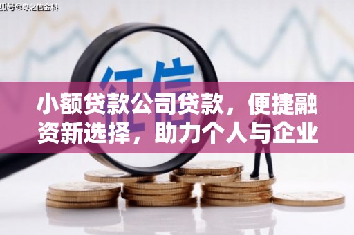 林甸小额贷款公司贷款，便捷融资新选择，助力个人与企业成长