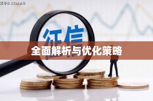 林甸全面解析与优化策略