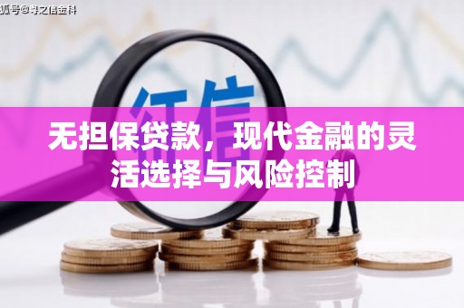 林甸无担保贷款，现代金融的灵活选择与风险控制