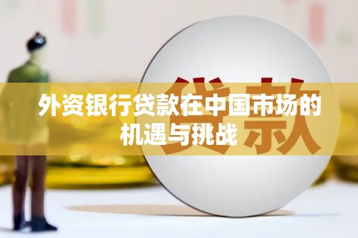 林甸外资银行贷款在中国市场的机遇与挑战