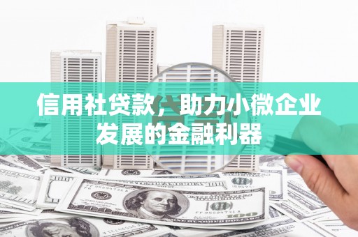 林甸信用社贷款，助力小微企业发展的金融利器