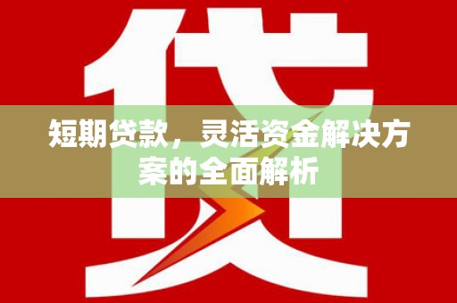 林甸短期贷款，灵活资金解决方案的全面解析