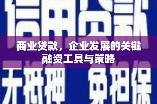 林甸商业贷款，企业发展的关键融资工具与策略