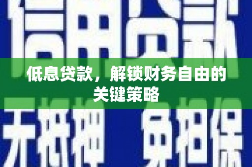 林甸低息贷款，解锁财务自由的关键策略