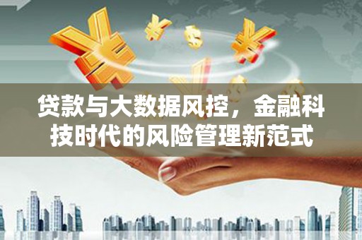 林甸贷款与大数据风控，金融科技时代的风险管理新范式