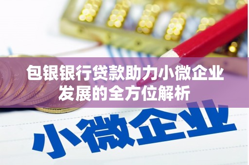 林甸包银银行贷款助力小微企业发展的全方位解析