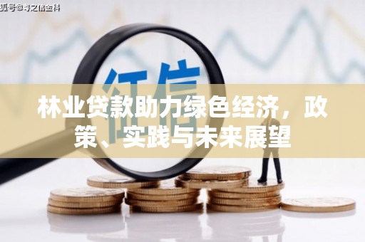 林甸林业贷款助力绿色经济，政策、实践与未来展望