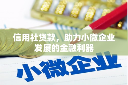 林甸信用社贷款，助力小微企业发展的金融利器
