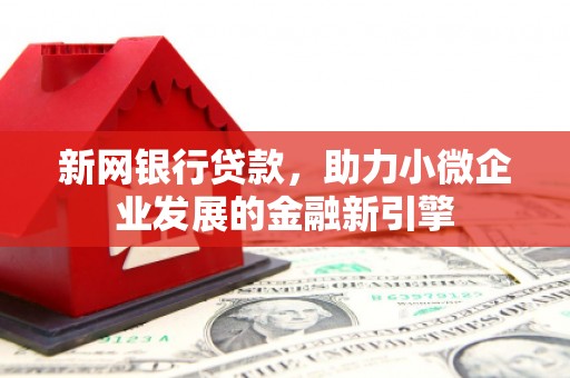 林甸新网银行贷款，助力小微企业发展的金融新引擎