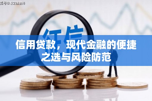 林甸信用贷款，现代金融的便捷之选与风险防范