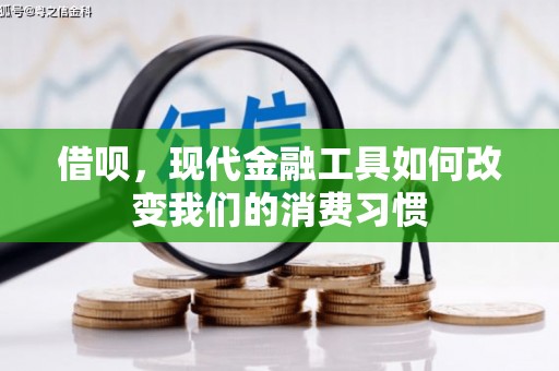 林甸借呗，现代金融工具如何改变我们的消费习惯
