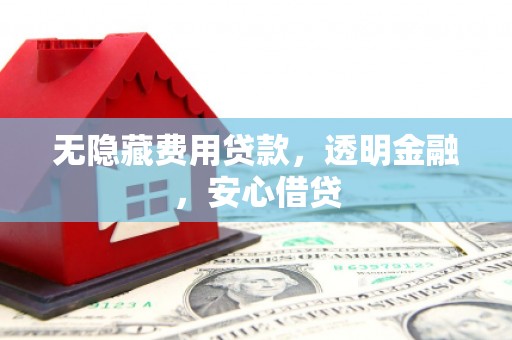 林甸无隐藏费用贷款，透明金融，安心借贷