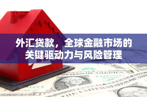 林甸外汇贷款，全球金融市场的关键驱动力与风险管理
