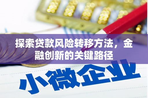 林甸探索贷款风险转移方法，金融创新的关键路径
