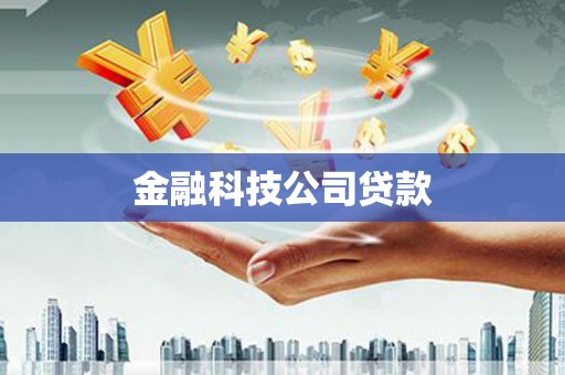 林甸金融科技公司贷款
