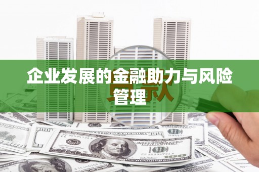 林甸企业发展的金融助力与风险管理