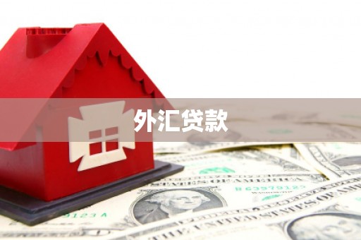 林甸外汇贷款