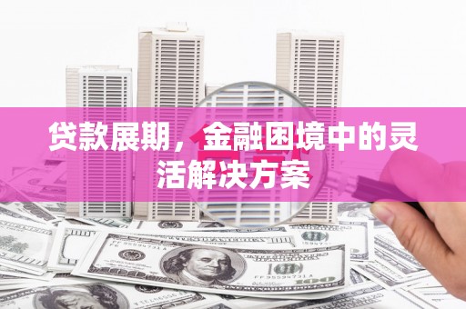林甸贷款展期，金融困境中的灵活解决方案