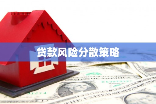 林甸贷款风险分散策略