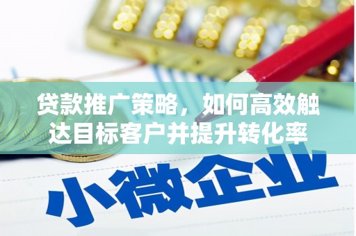 林甸贷款推广策略，如何高效触达目标客户并提升转化率