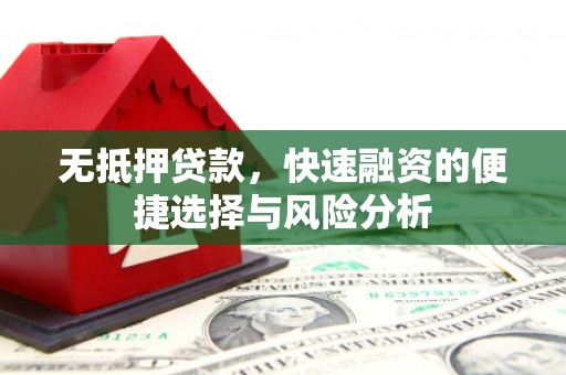 林甸无抵押贷款，快速融资的便捷选择与风险分析