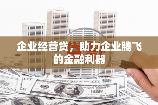 林甸企业经营贷，助力企业腾飞的金融利器