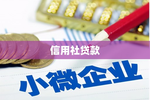 林甸信用社贷款
