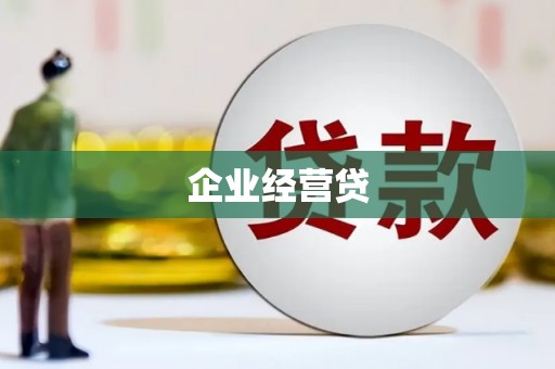 林甸企业经营贷