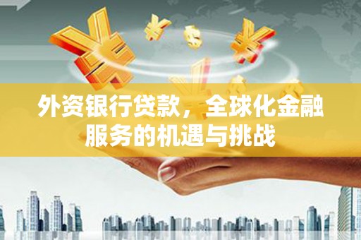 林甸外资银行贷款，全球化金融服务的机遇与挑战