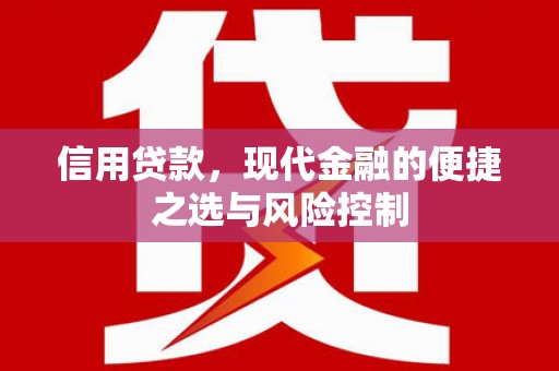 林甸信用贷款，现代金融的便捷之选与风险控制