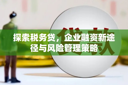 林甸探索税务贷，企业融资新途径与风险管理策略