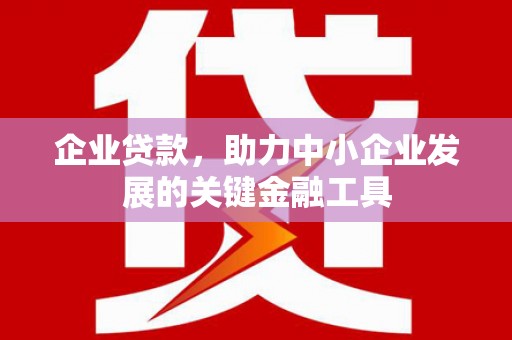 林甸企业贷款，助力中小企业发展的关键金融工具