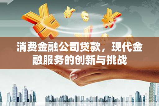 林甸消费金融公司贷款，现代金融服务的创新与挑战