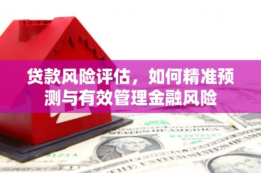 林甸贷款风险评估，如何精准预测与有效管理金融风险