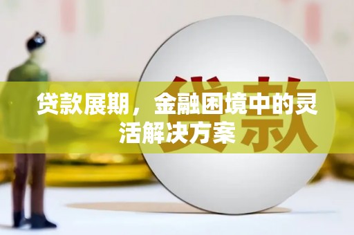 林甸贷款展期，金融困境中的灵活解决方案