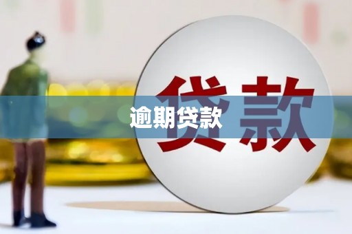 林甸逾期贷款