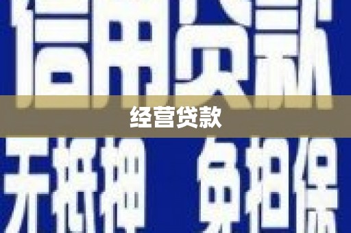 林甸经营贷款