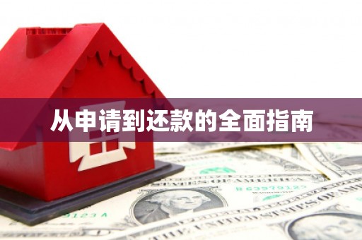 林甸从申请到还款的全面指南