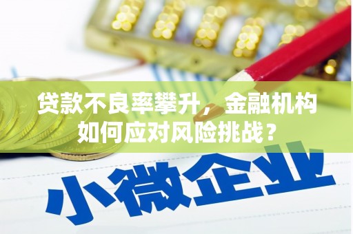 林甸贷款不良率攀升，金融机构如何应对风险挑战？