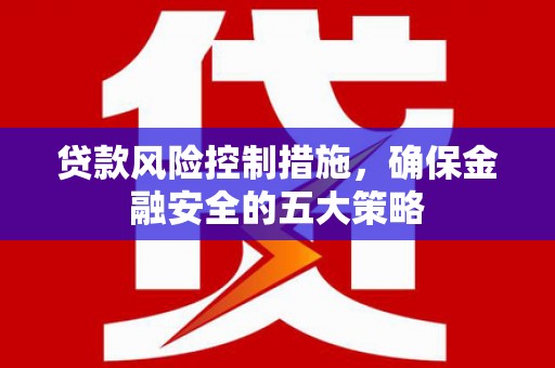 林甸贷款风险控制措施，确保金融安全的五大策略