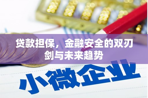 林甸贷款担保，金融安全的双刃剑与未来趋势