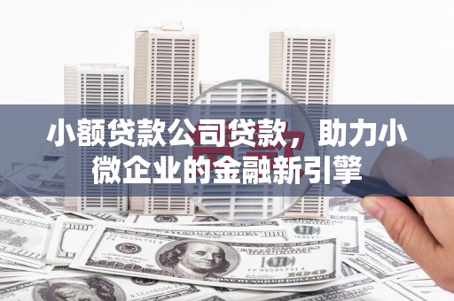 林甸小额贷款公司贷款，助力小微企业的金融新引擎